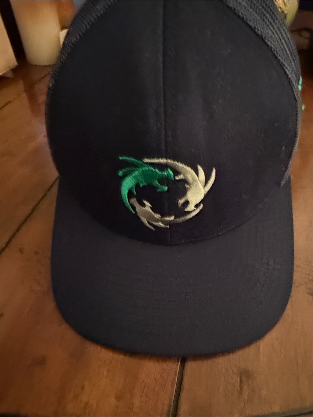 Reptile Mesh-Back Cap in Black with Green & Silver Embroidered Logo